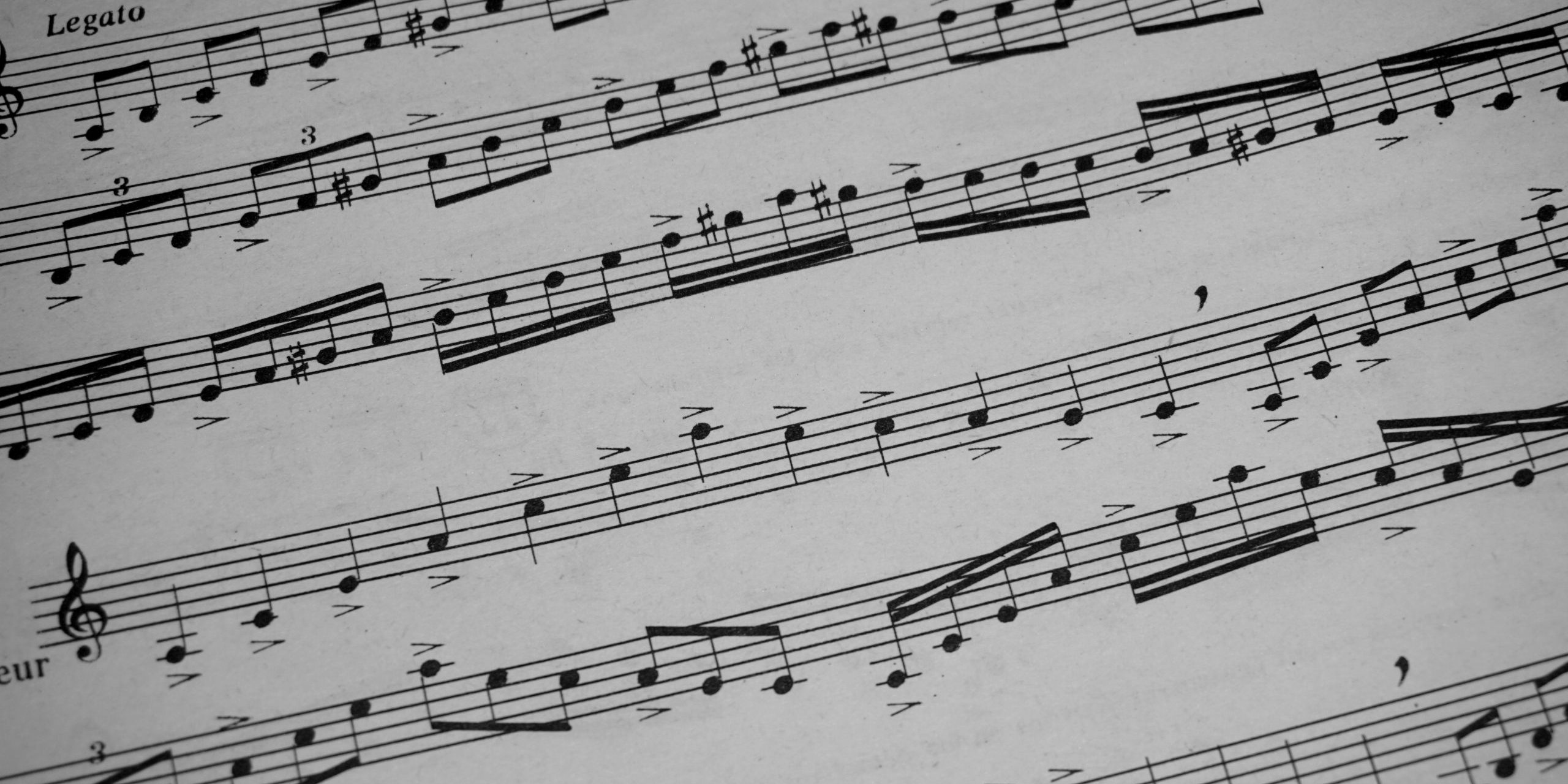 pexels-hermaion-104084